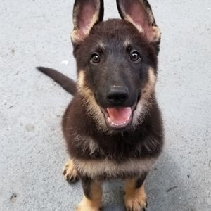 Meet your Posher, Jamie